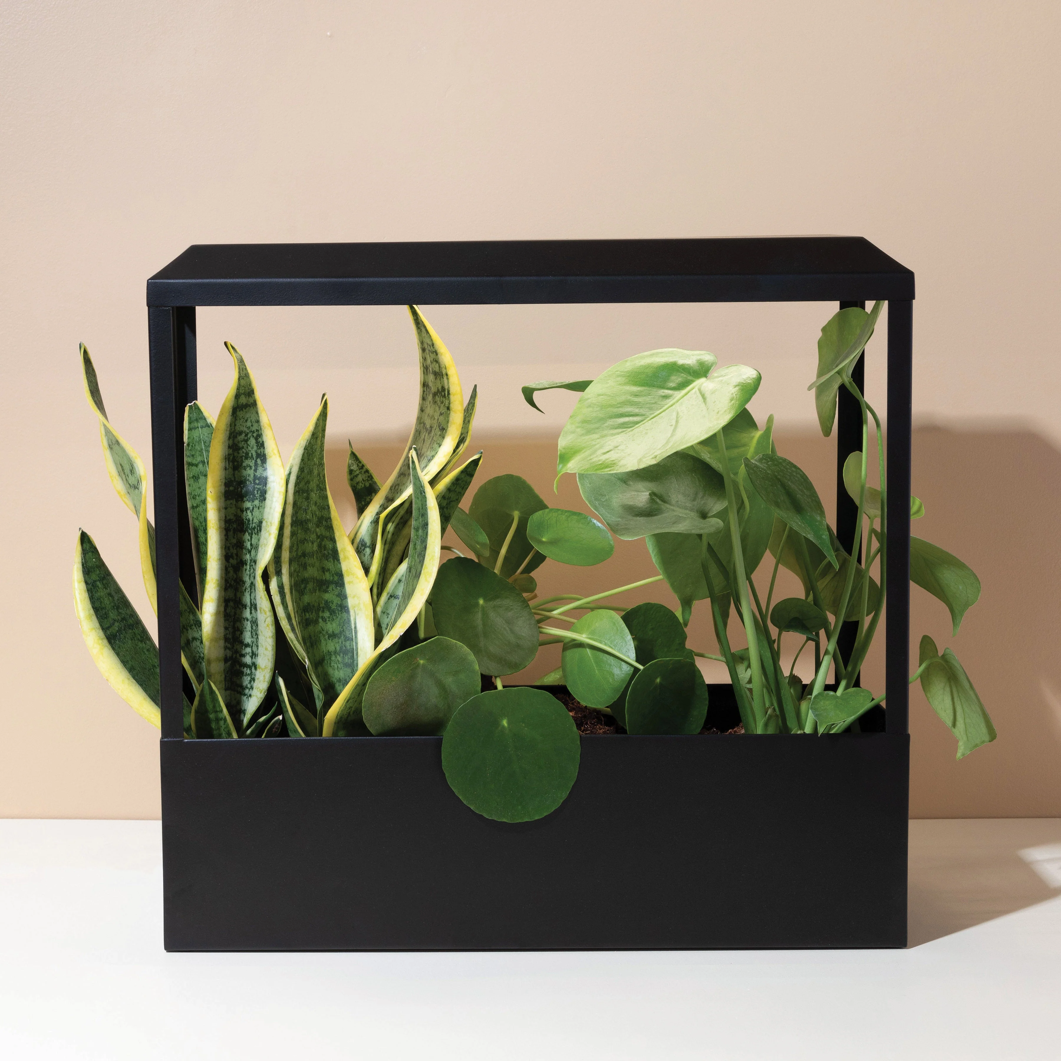 Modern Sprout Smart Growhouse - Image 8